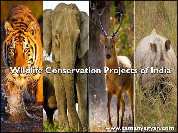 Wildlife Conservation Projects of India 