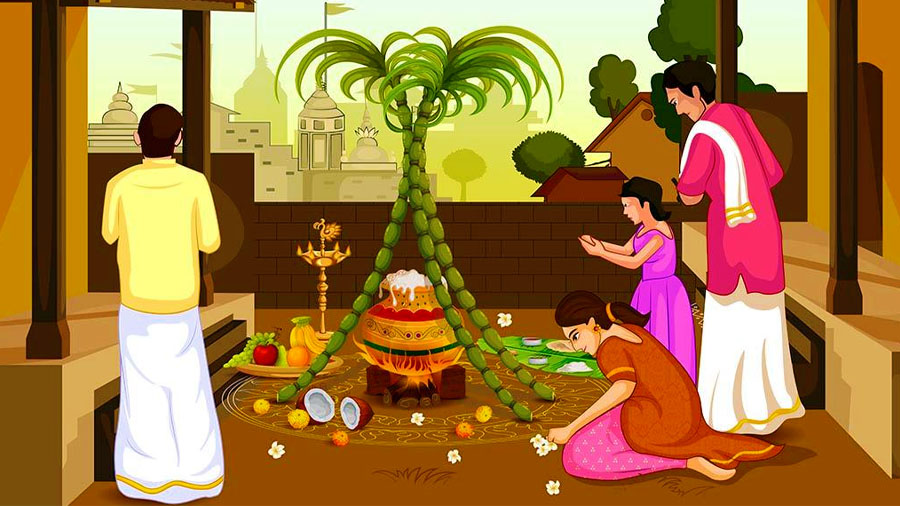 Pongal 2023: Date, History, Significance, Story & more. | SamanyaGyan